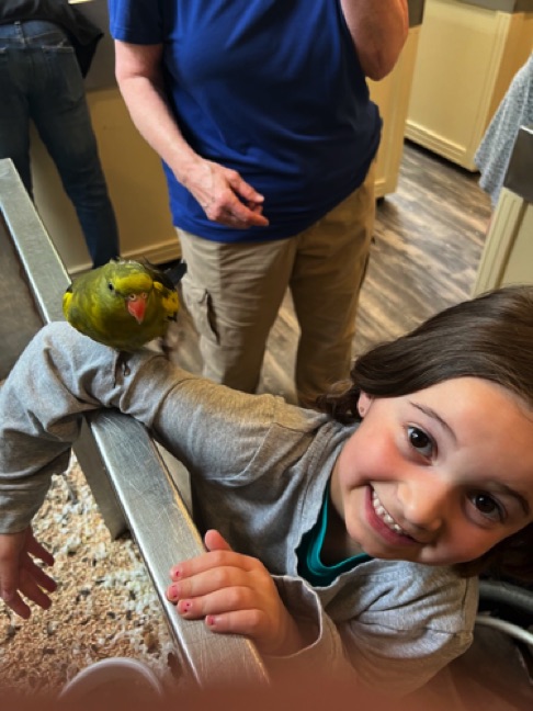 Coplei's adventures - my Sissy